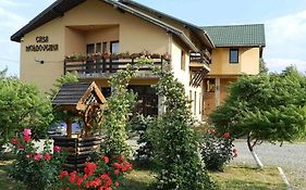 Pensiunea CASA MOLDOVEANA